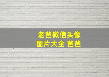 老爸微信头像图片大全 爸爸